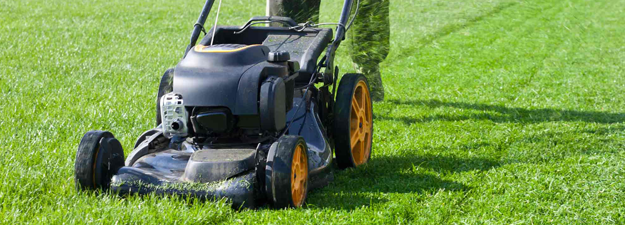 Lawn maintenance